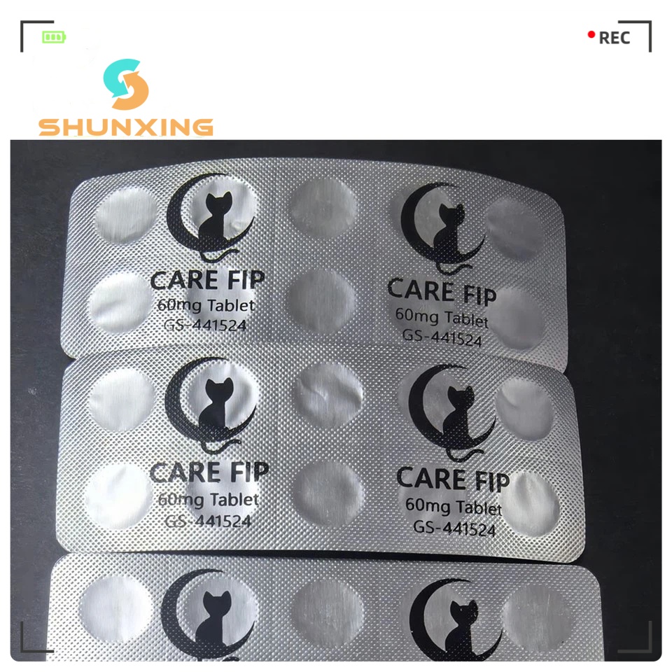 gst19.jpg